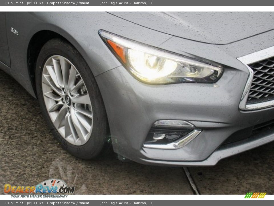 2019 Infiniti QX50 Luxe Graphite Shadow / Wheat Photo #10