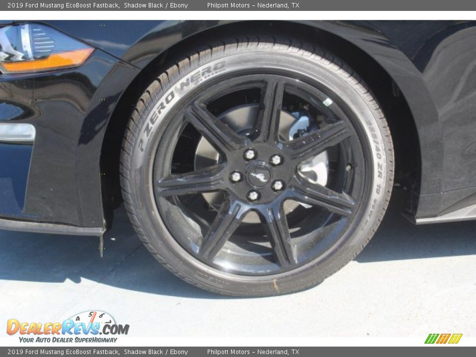 2019 Ford Mustang EcoBoost Fastback Shadow Black / Ebony Photo #4