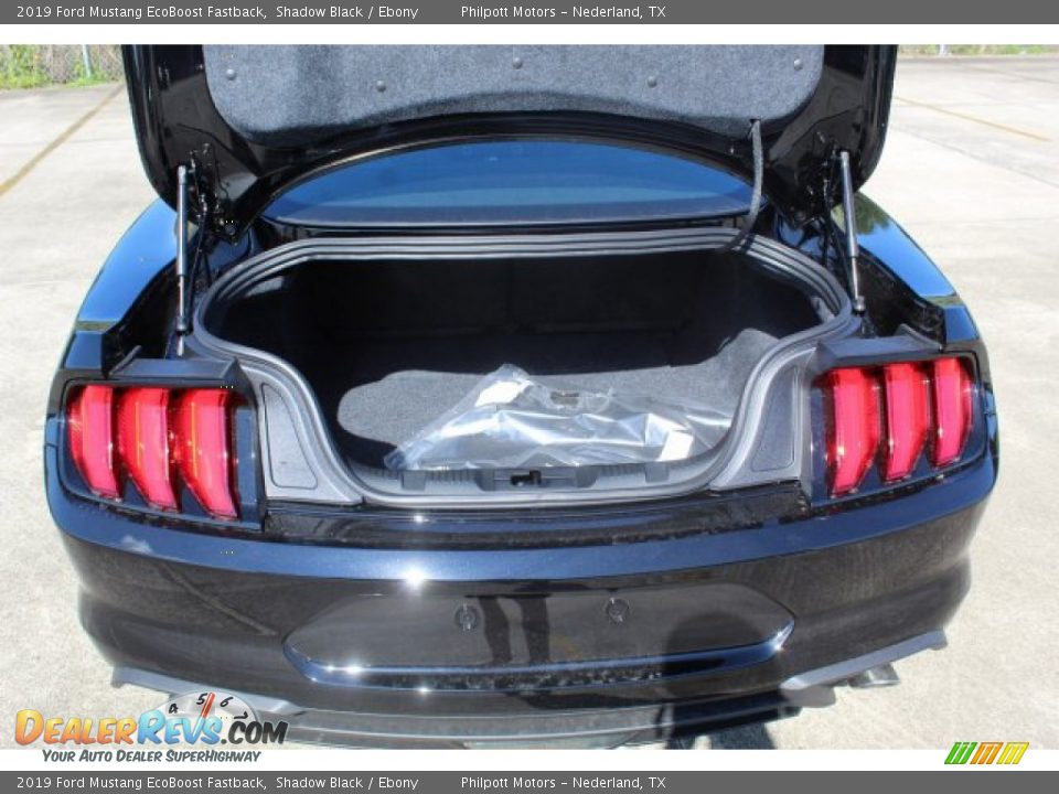 2019 Ford Mustang EcoBoost Fastback Shadow Black / Ebony Photo #16