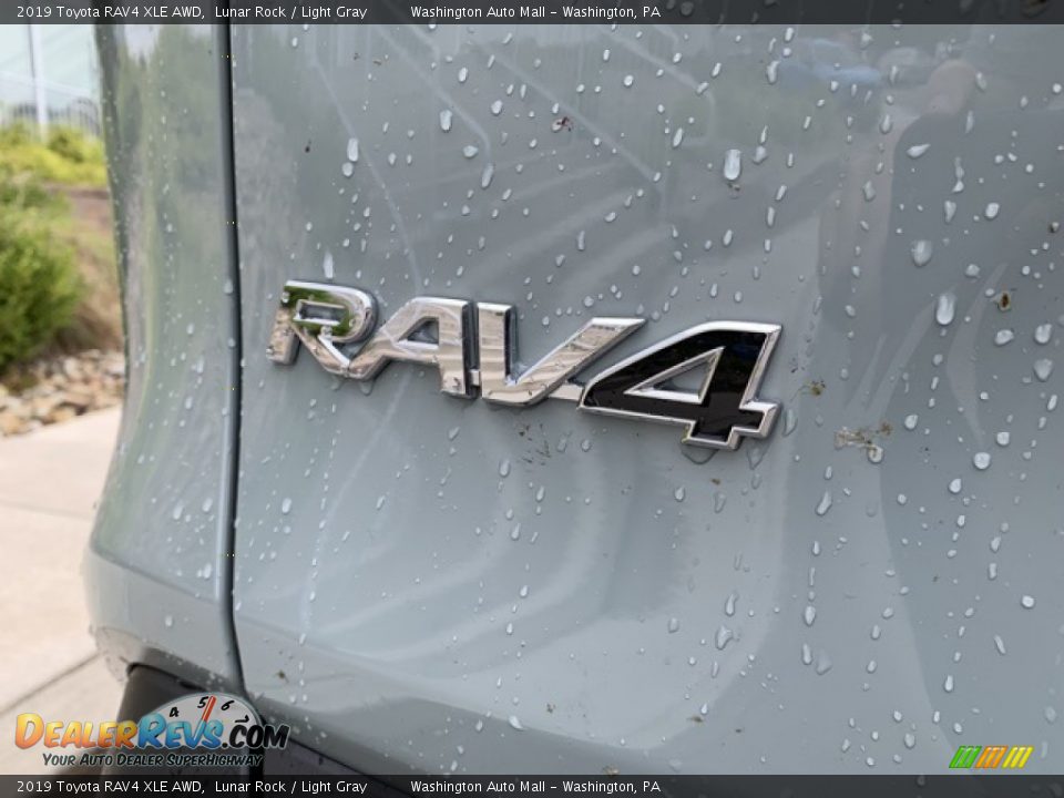 2019 Toyota RAV4 XLE AWD Logo Photo #12