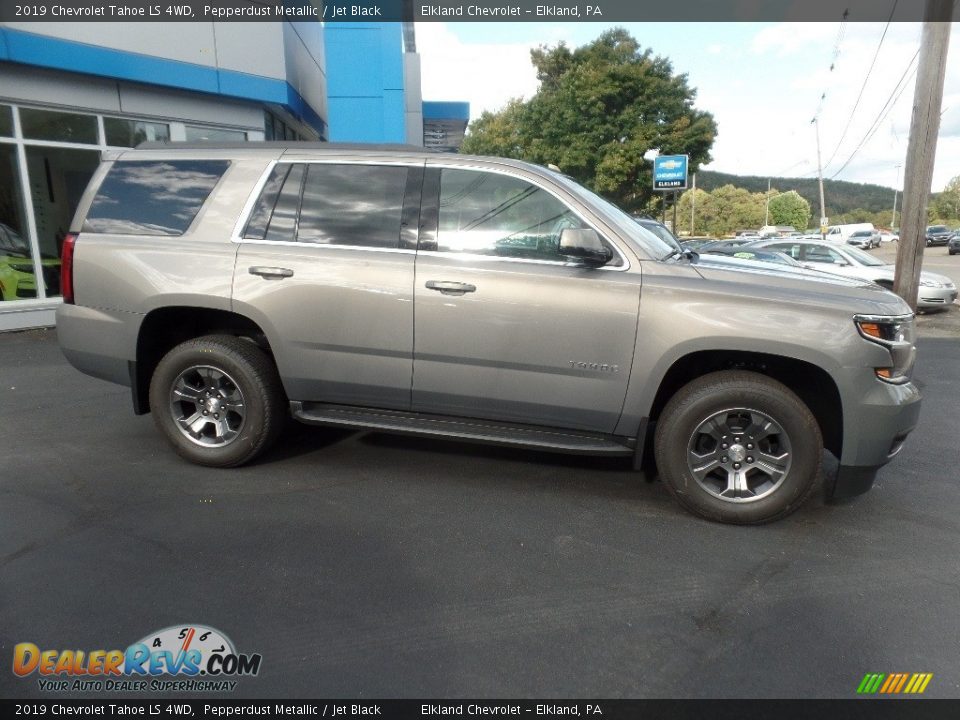 2019 Chevrolet Tahoe LS 4WD Pepperdust Metallic / Jet Black Photo #11