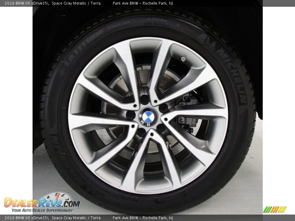2019 BMW X6 sDrive35i Space Gray Metallic / Terra Photo #33