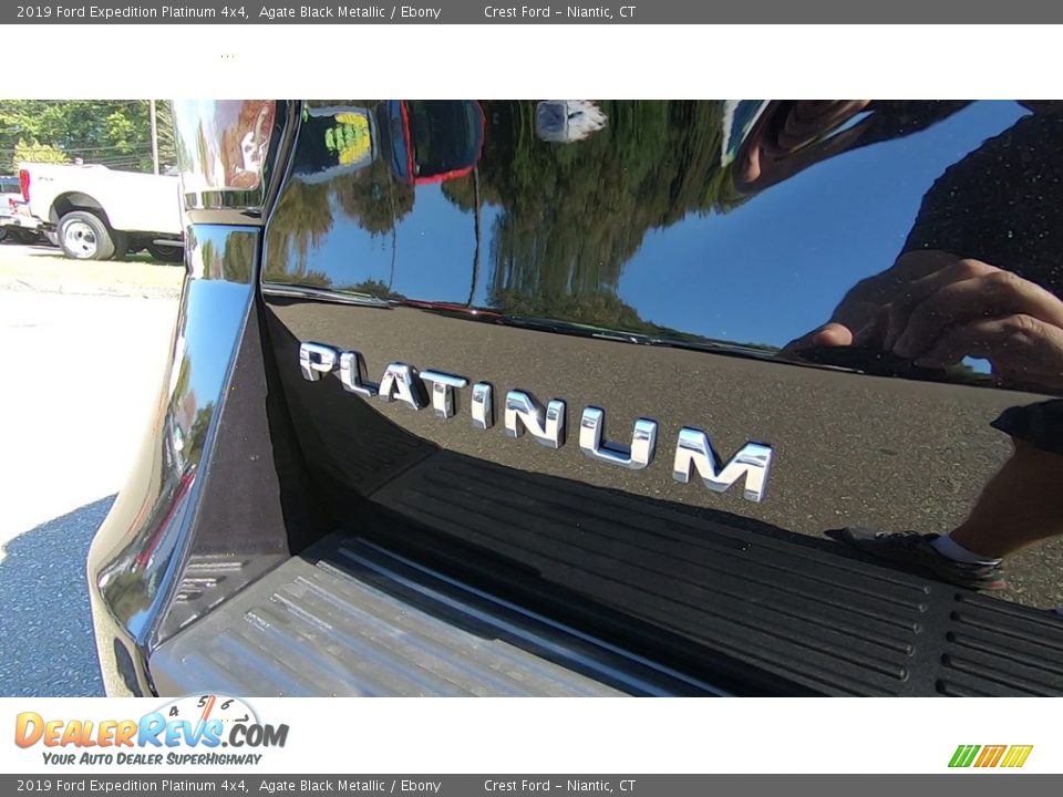 2019 Ford Expedition Platinum 4x4 Agate Black Metallic / Ebony Photo #10