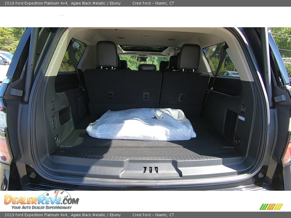 2019 Ford Expedition Platinum 4x4 Agate Black Metallic / Ebony Photo #22