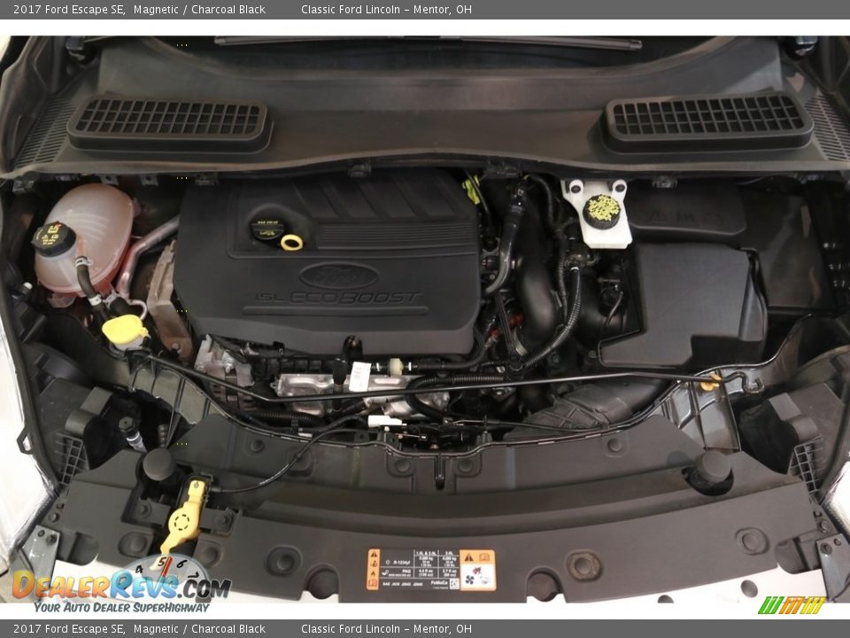 2017 Ford Escape SE Magnetic / Charcoal Black Photo #19