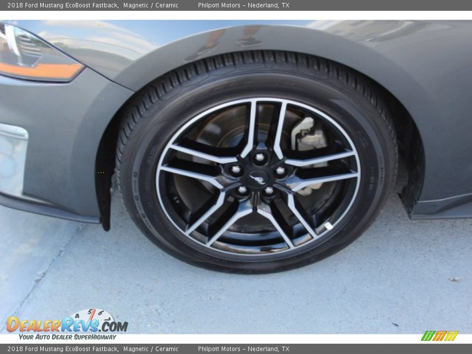 2018 Ford Mustang EcoBoost Fastback Magnetic / Ceramic Photo #5