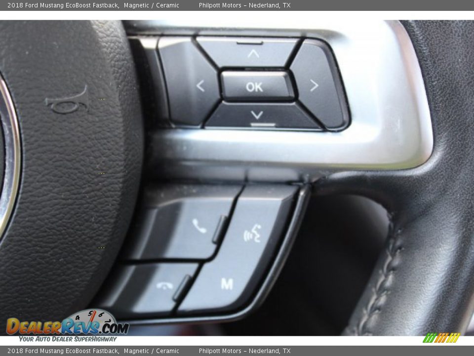 2018 Ford Mustang EcoBoost Fastback Magnetic / Ceramic Photo #15