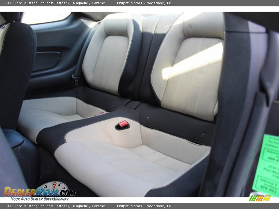2018 Ford Mustang EcoBoost Fastback Magnetic / Ceramic Photo #21