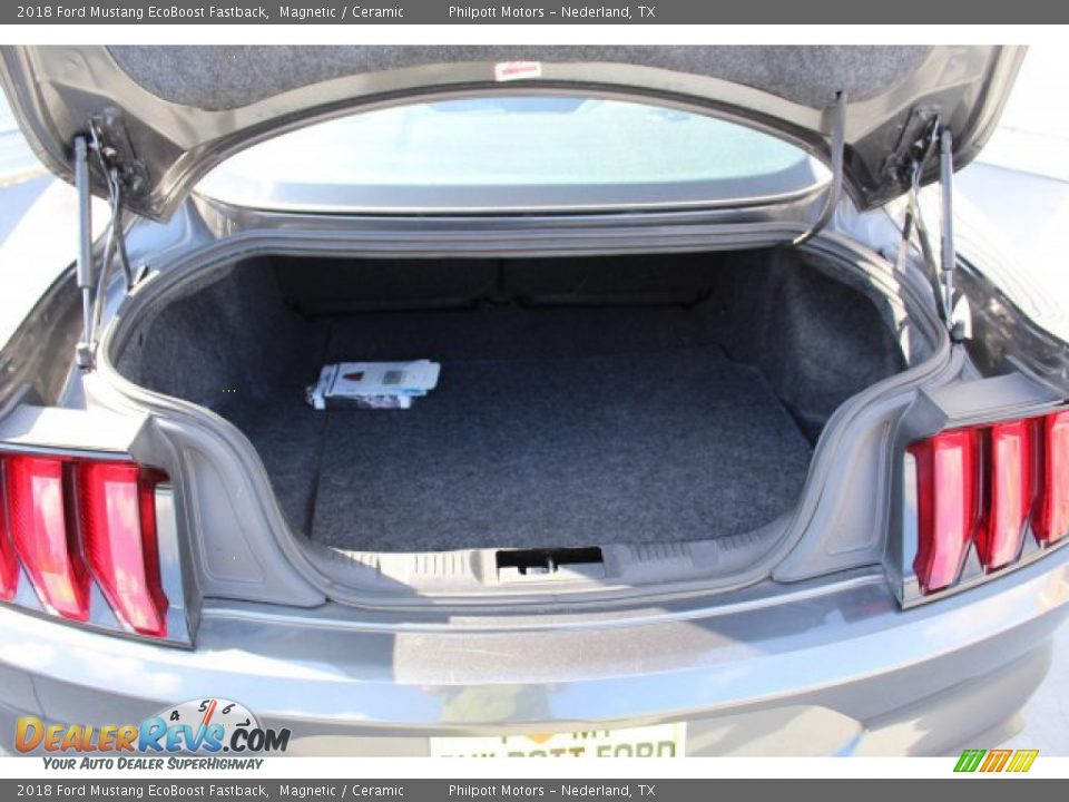 2018 Ford Mustang EcoBoost Fastback Magnetic / Ceramic Photo #22