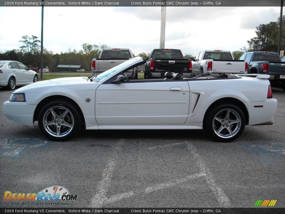 2004 Ford Mustang V6 Convertible Oxford White / Dark Charcoal Photo #5