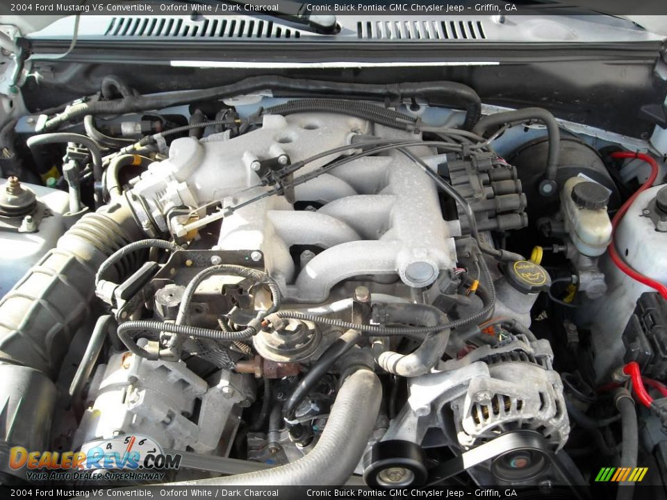 2004 Ford Mustang V6 Convertible Oxford White / Dark Charcoal Photo #10