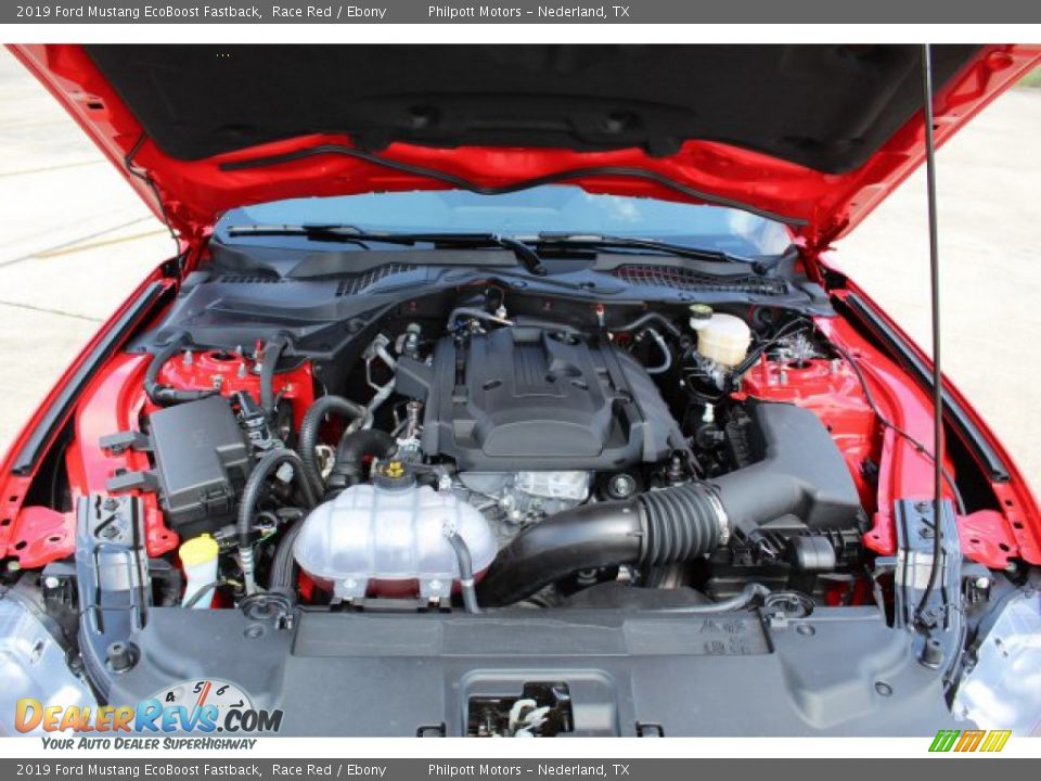 2019 Ford Mustang EcoBoost Fastback Race Red / Ebony Photo #22