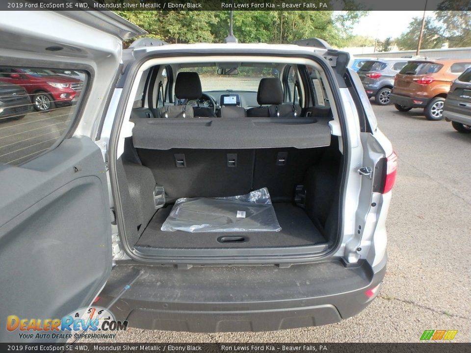 2019 Ford EcoSport SE 4WD Moondust Silver Metallic / Ebony Black Photo #4