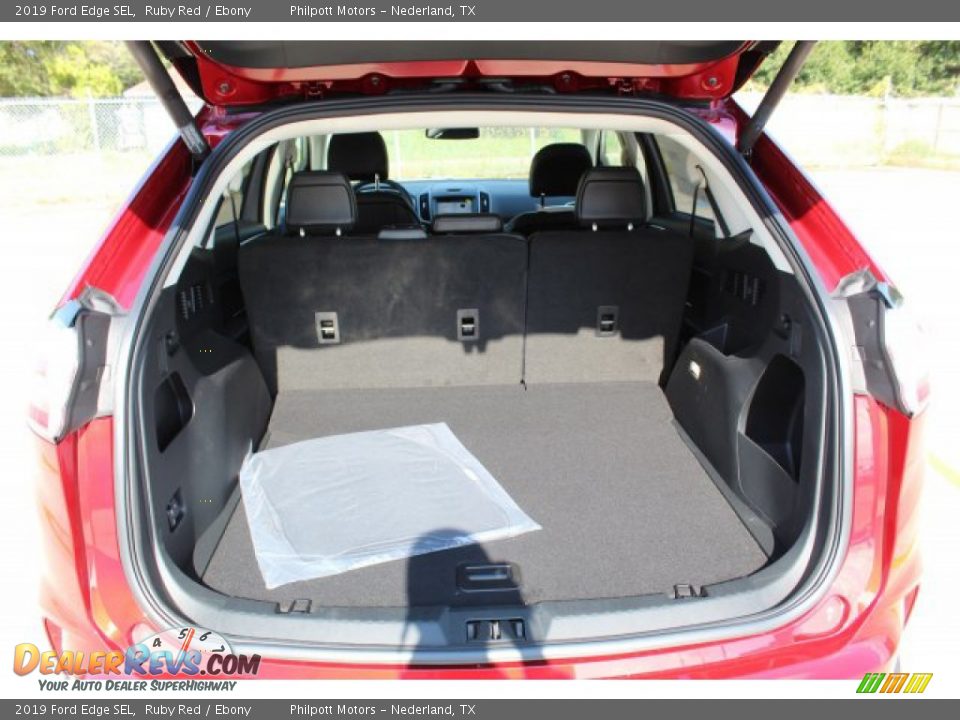 2019 Ford Edge SEL Ruby Red / Ebony Photo #24