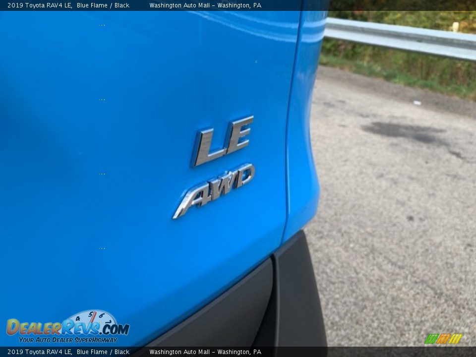 2019 Toyota RAV4 LE Blue Flame / Black Photo #9