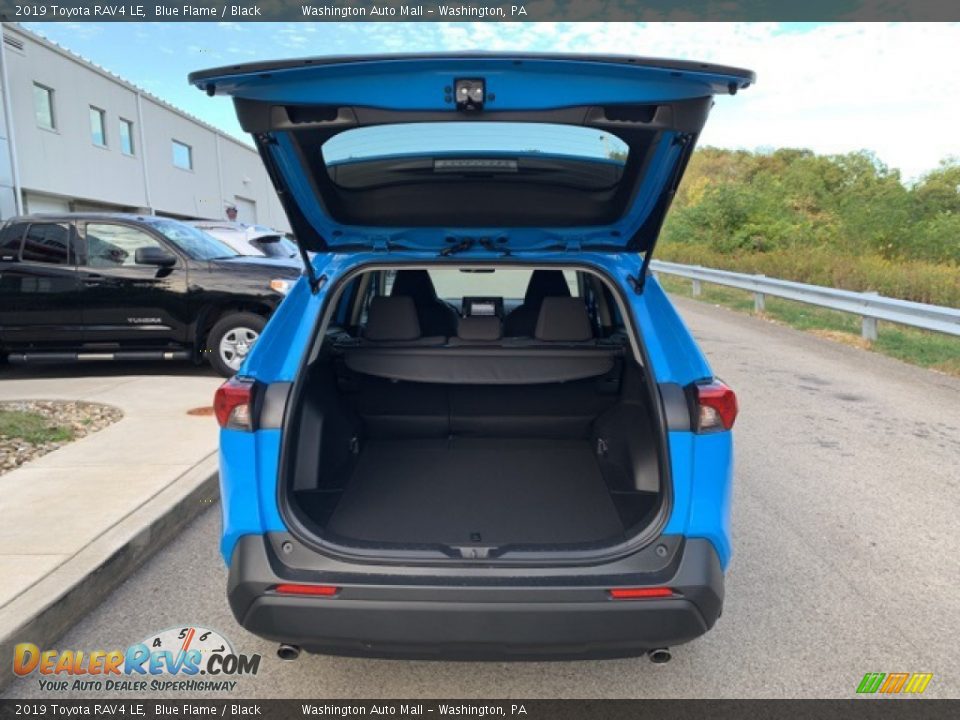 2019 Toyota RAV4 LE Blue Flame / Black Photo #10