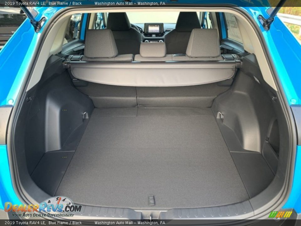 2019 Toyota RAV4 LE Blue Flame / Black Photo #11