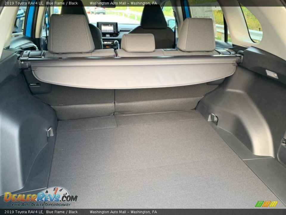 2019 Toyota RAV4 LE Blue Flame / Black Photo #12