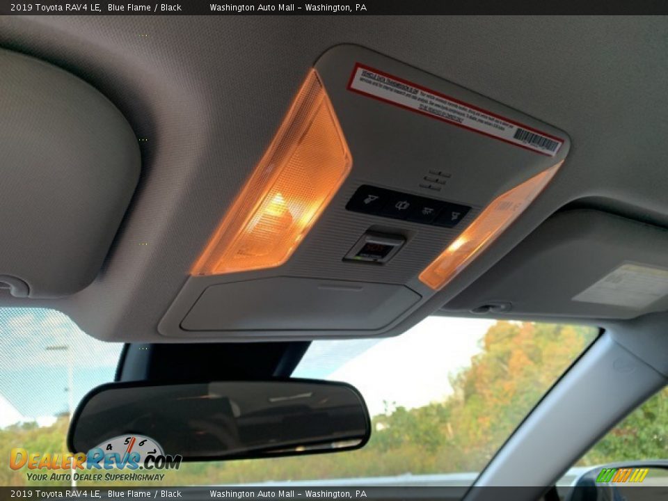 2019 Toyota RAV4 LE Blue Flame / Black Photo #23