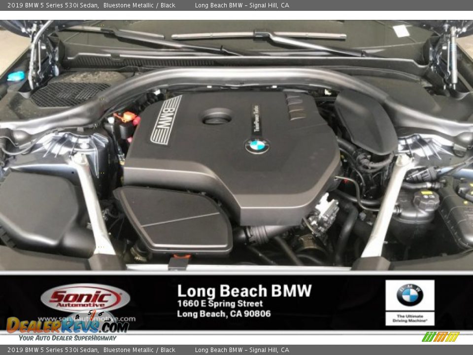 2019 BMW 5 Series 530i Sedan Bluestone Metallic / Black Photo #8