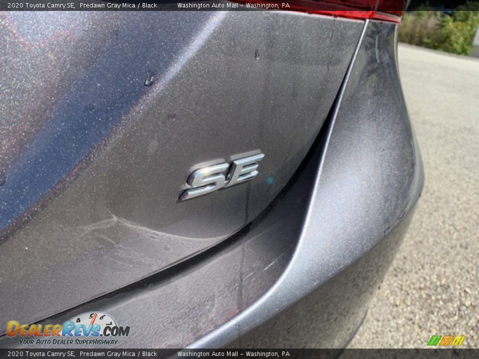 2020 Toyota Camry SE Predawn Gray Mica / Black Photo #10
