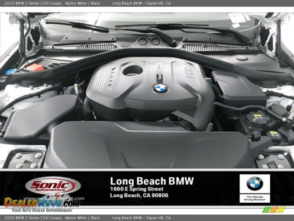 2020 BMW 2 Series 230i Coupe Alpine White / Black Photo #8