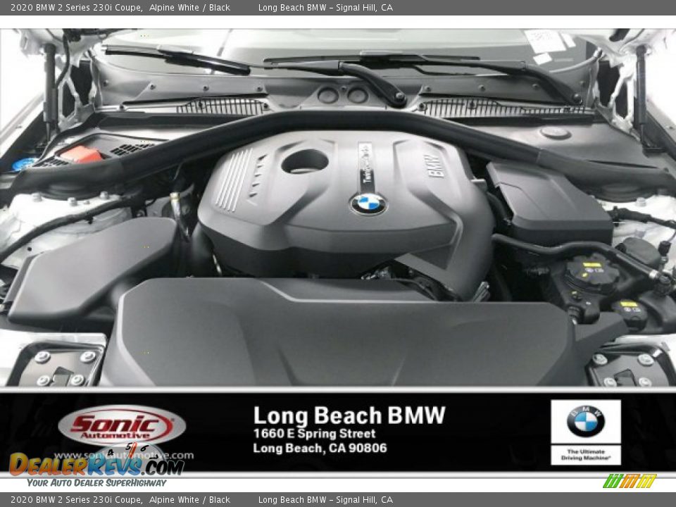 2020 BMW 2 Series 230i Coupe Alpine White / Black Photo #8