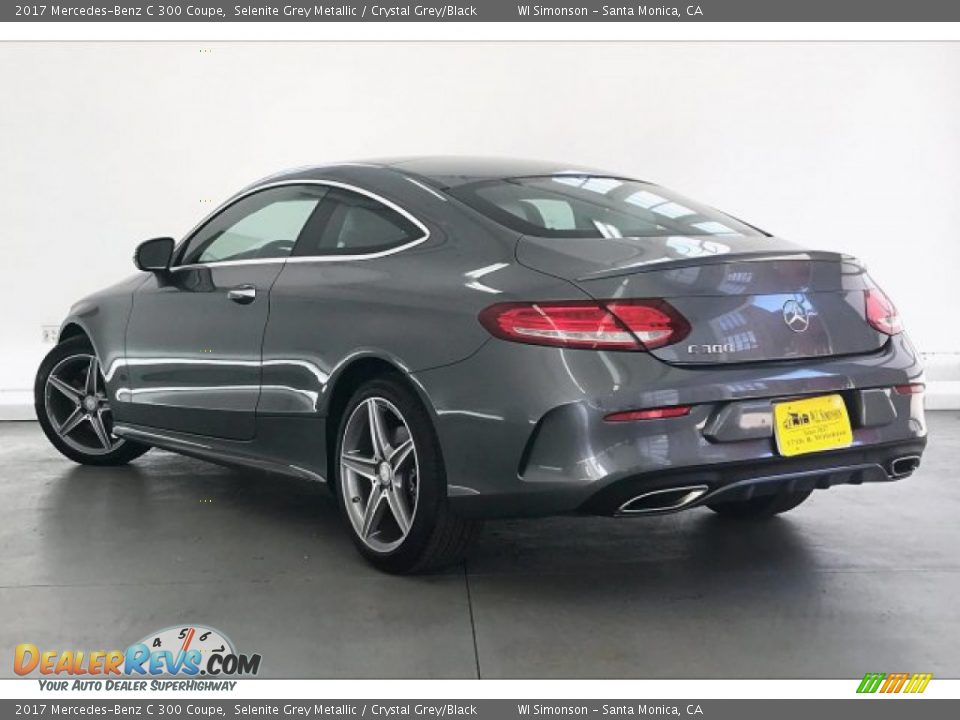 2017 Mercedes-Benz C 300 Coupe Selenite Grey Metallic / Crystal Grey/Black Photo #10