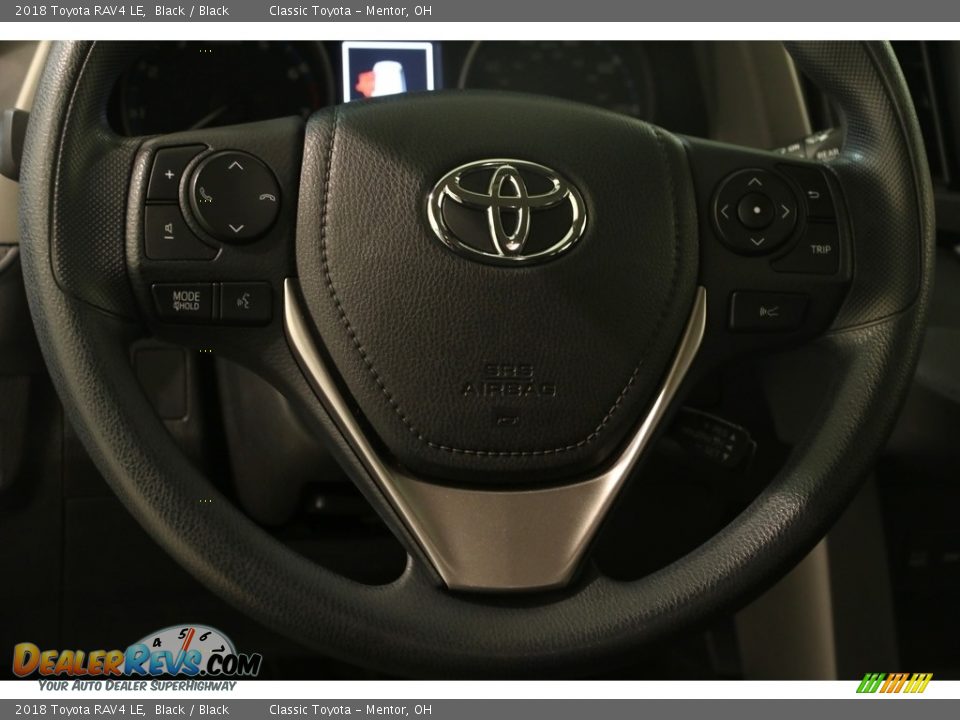 2018 Toyota RAV4 LE Black / Black Photo #6