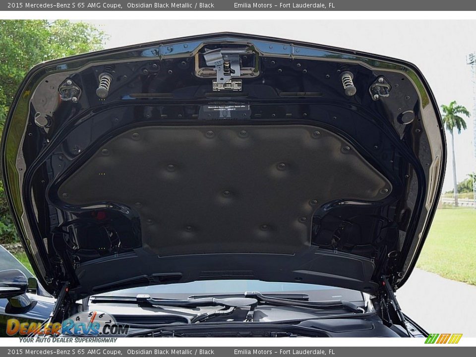 2015 Mercedes-Benz S 65 AMG Coupe Obsidian Black Metallic / Black Photo #26