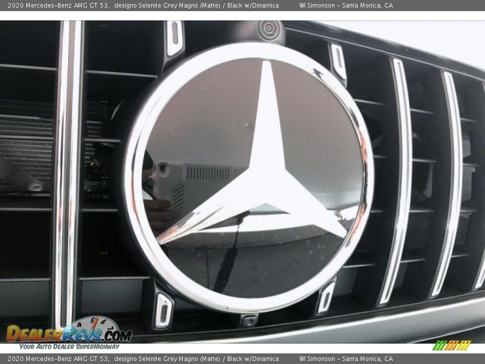 2020 Mercedes-Benz AMG GT 53 designo Selenite Grey Magno (Matte) / Black w/Dinamica Photo #33