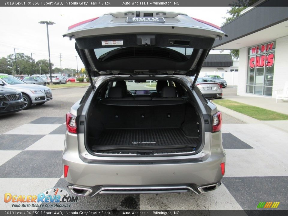 2019 Lexus RX 350 F Sport AWD Nebula Gray Pearl / Black Photo #5