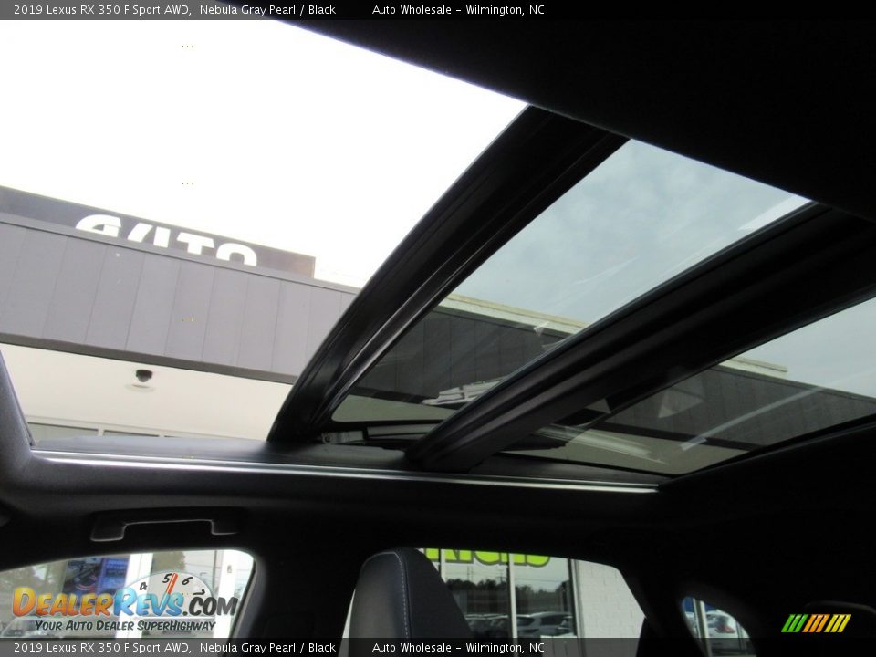 2019 Lexus RX 350 F Sport AWD Nebula Gray Pearl / Black Photo #13