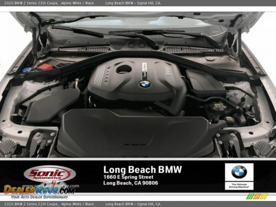 2020 BMW 2 Series 230i Coupe Alpine White / Black Photo #8