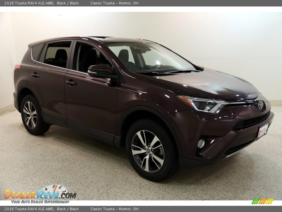 2018 Toyota RAV4 XLE AWD Black / Black Photo #1
