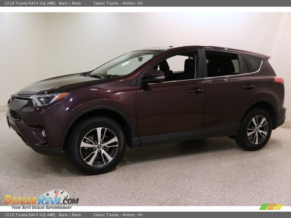 2018 Toyota RAV4 XLE AWD Black / Black Photo #3