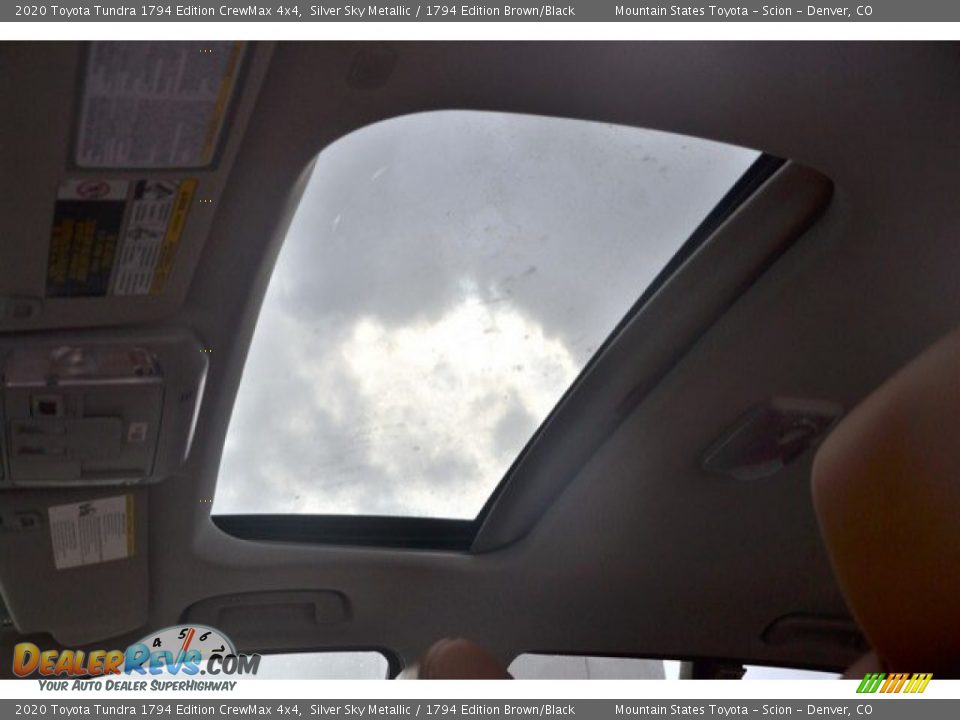 2020 Toyota Tundra 1794 Edition CrewMax 4x4 Silver Sky Metallic / 1794 Edition Brown/Black Photo #9
