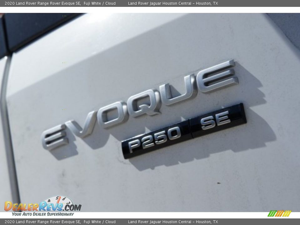 2020 Land Rover Range Rover Evoque SE Fuji White / Cloud Photo #9