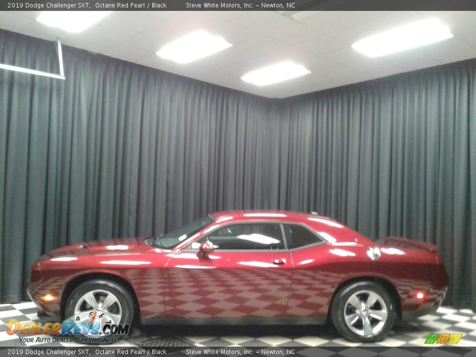 2019 Dodge Challenger SXT Octane Red Pearl / Black Photo #1