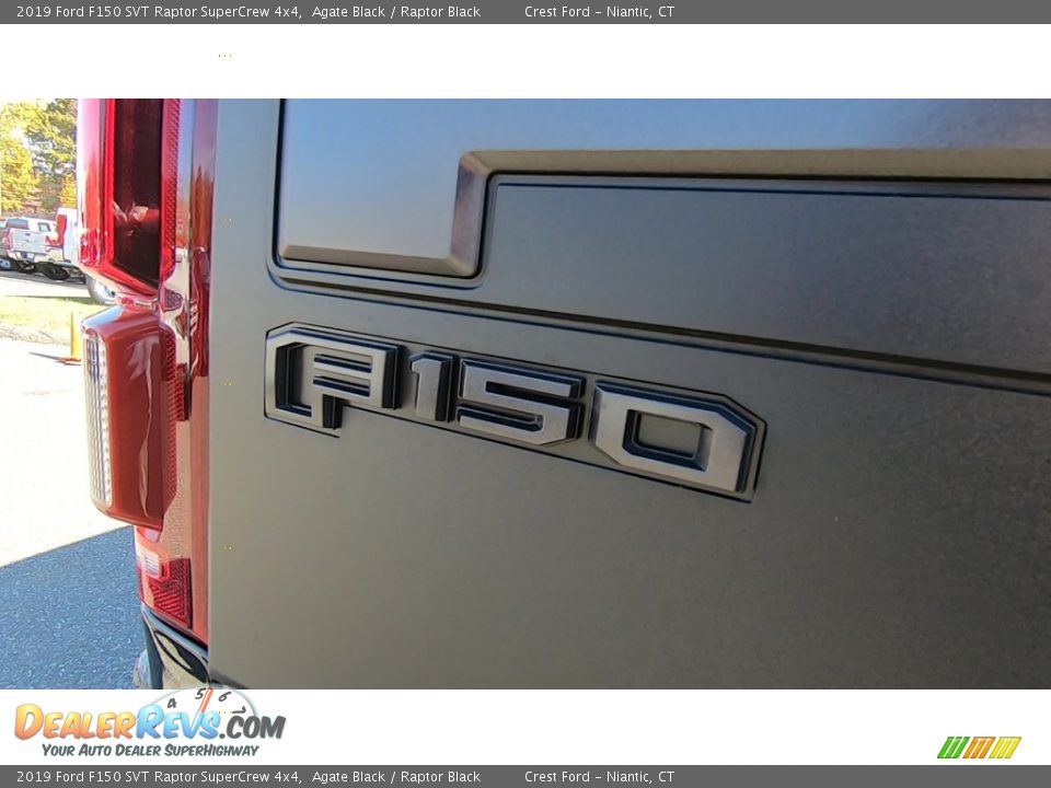 2019 Ford F150 SVT Raptor SuperCrew 4x4 Agate Black / Raptor Black Photo #10