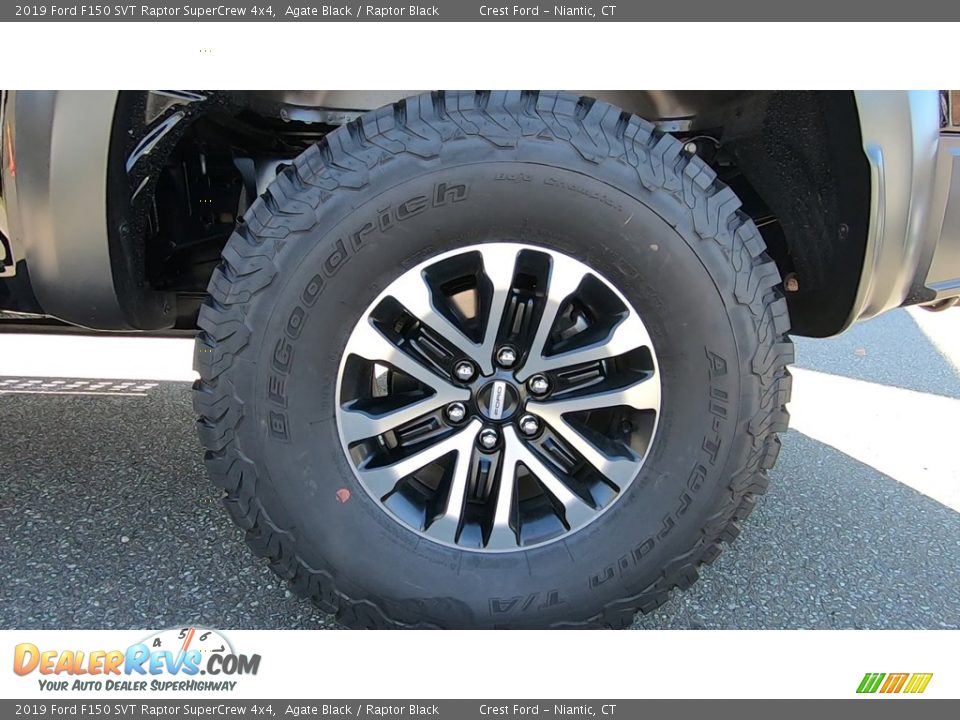 2019 Ford F150 SVT Raptor SuperCrew 4x4 Agate Black / Raptor Black Photo #22