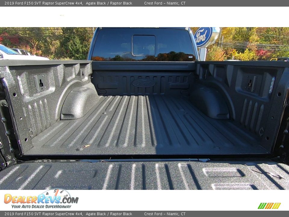 2019 Ford F150 SVT Raptor SuperCrew 4x4 Agate Black / Raptor Black Photo #23