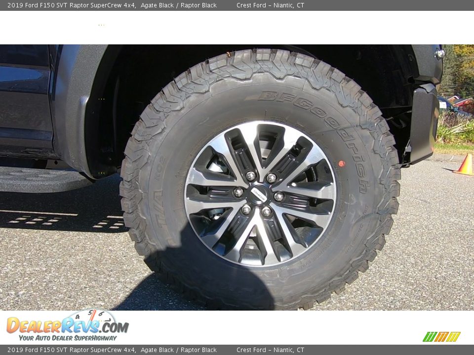 2019 Ford F150 SVT Raptor SuperCrew 4x4 Agate Black / Raptor Black Photo #28