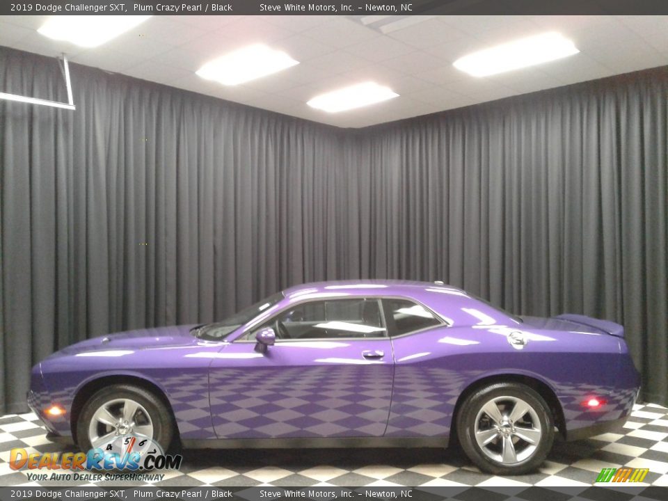 2019 Dodge Challenger SXT Plum Crazy Pearl / Black Photo #1