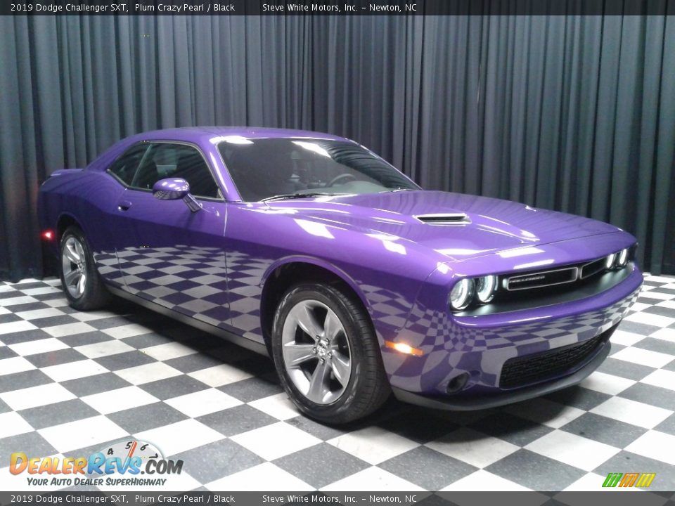 2019 Dodge Challenger SXT Plum Crazy Pearl / Black Photo #4