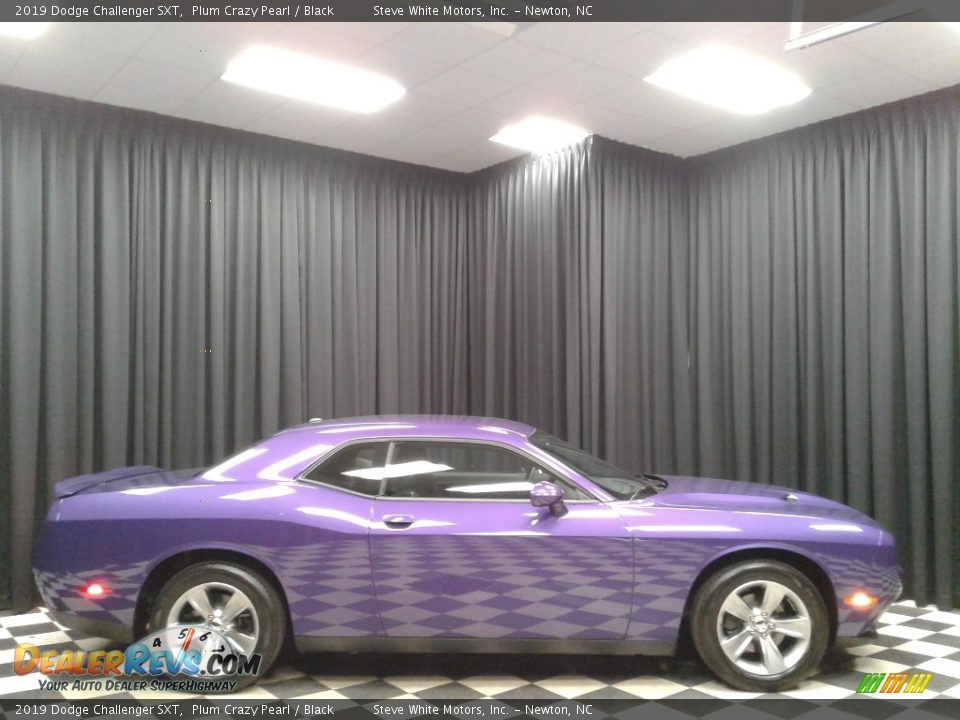 2019 Dodge Challenger SXT Plum Crazy Pearl / Black Photo #5