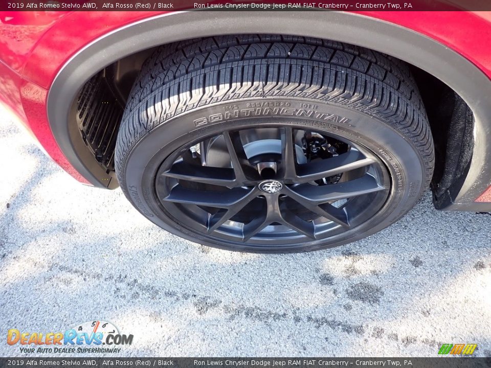 2019 Alfa Romeo Stelvio AWD Alfa Rosso (Red) / Black Photo #3