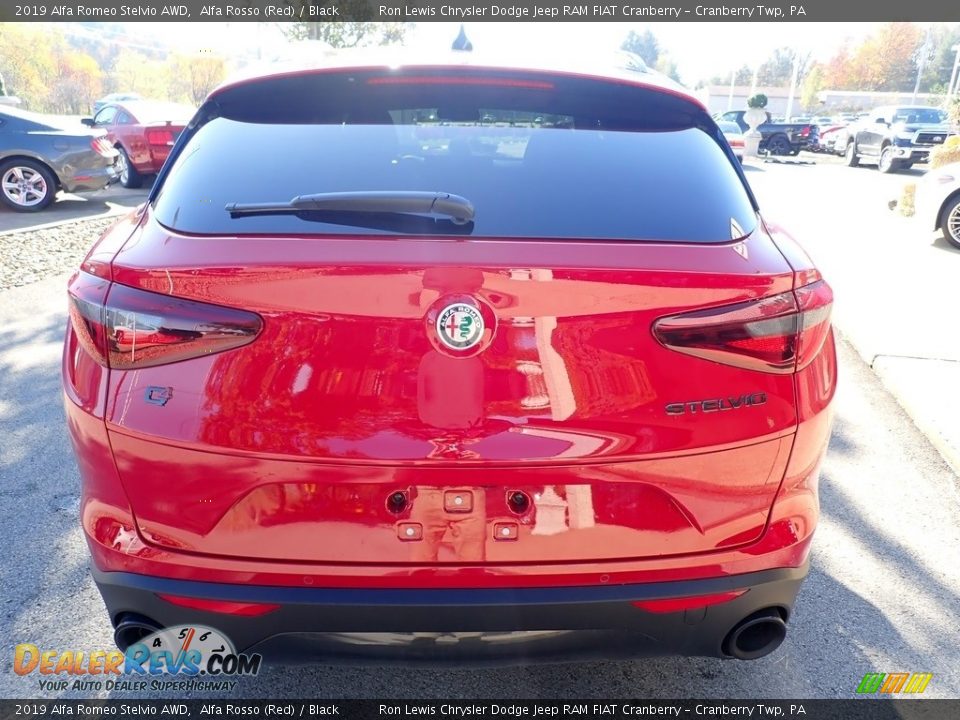 2019 Alfa Romeo Stelvio AWD Alfa Rosso (Red) / Black Photo #7
