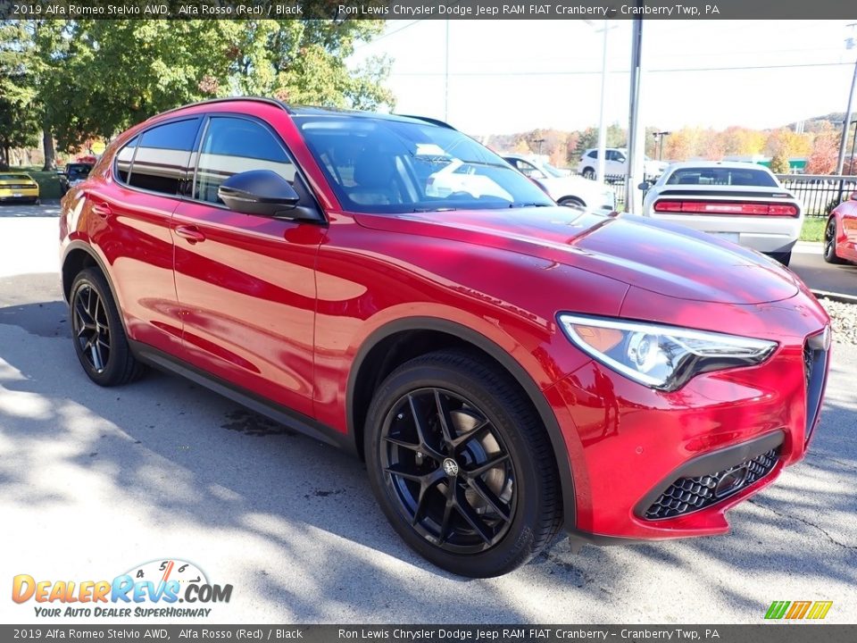 2019 Alfa Romeo Stelvio AWD Alfa Rosso (Red) / Black Photo #12