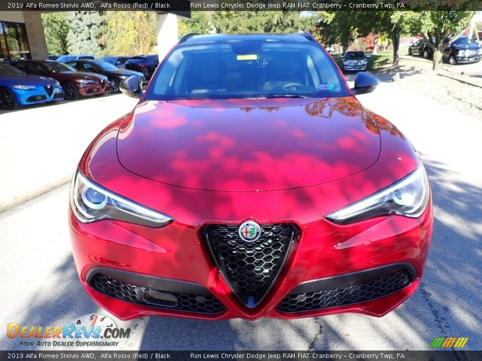 2019 Alfa Romeo Stelvio AWD Alfa Rosso (Red) / Black Photo #13